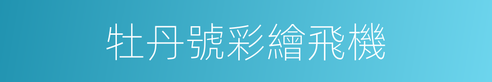 牡丹號彩繪飛機的同義詞