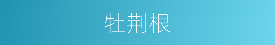 牡荆根的同义词