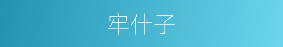 牢什子的意思