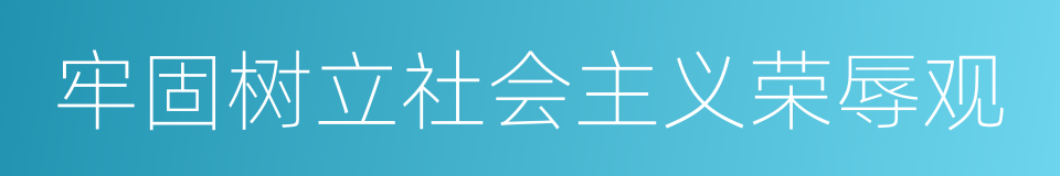 牢固树立社会主义荣辱观的同义词