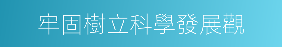 牢固樹立科學發展觀的同義詞