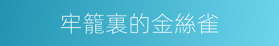 牢籠裏的金絲雀的同義詞