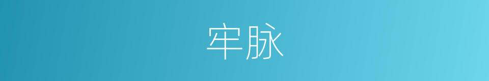 牢脉的意思