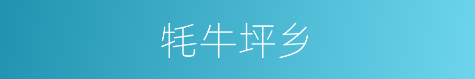 牦牛坪乡的同义词