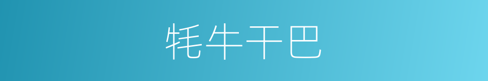 牦牛干巴的同义词