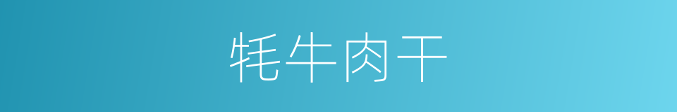 牦牛肉干的同义词