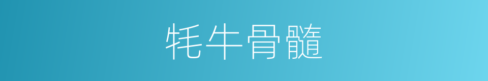 牦牛骨髓的同义词