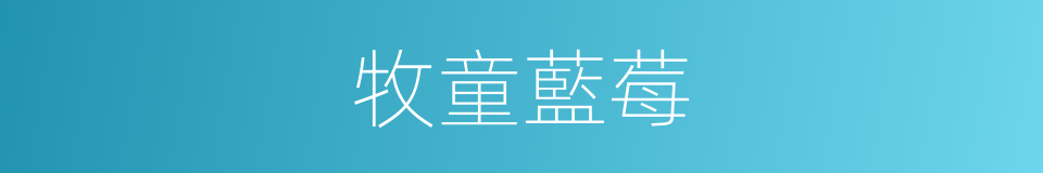 牧童藍莓的同義詞