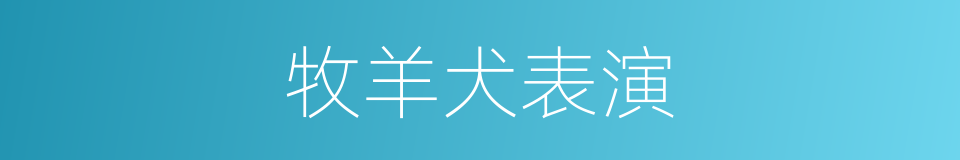 牧羊犬表演的同义词