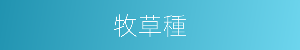 牧草種的同義詞