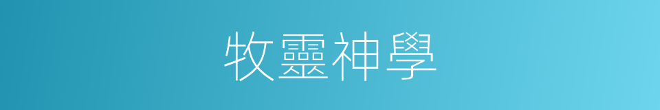 牧靈神學的同義詞