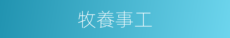 牧養事工的同義詞