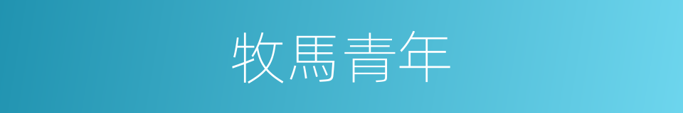 牧馬青年的同義詞