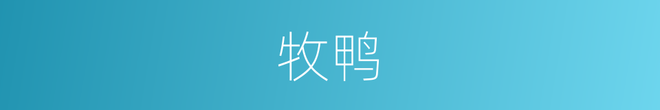 牧鸭的同义词