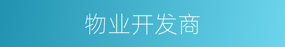 物业开发商的同义词