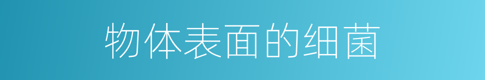 物体表面的细菌的同义词