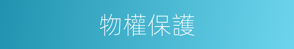 物權保護的同義詞