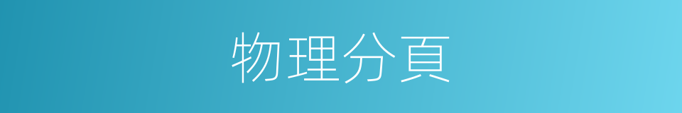 物理分頁的同義詞