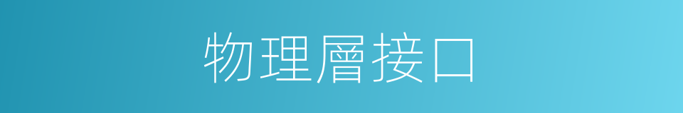 物理層接口的同義詞