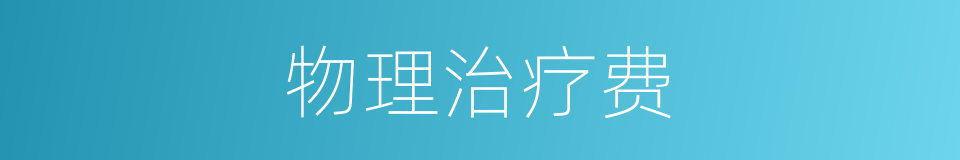 物理治疗费的同义词