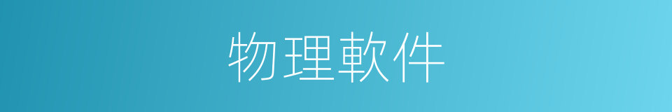 物理軟件的同義詞