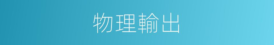 物理輸出的意思