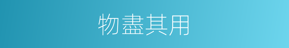物盡其用的意思