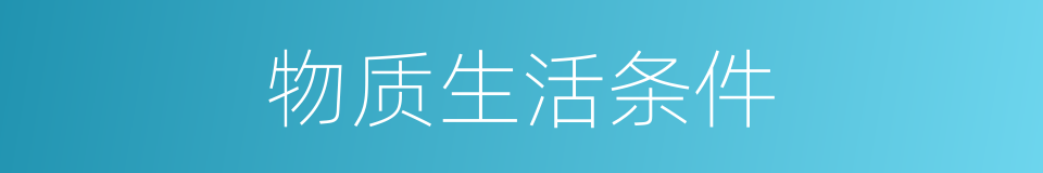 物质生活条件的同义词