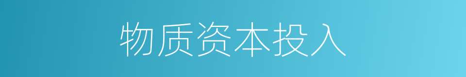 物质资本投入的同义词