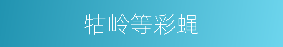 牯岭等彩蝇的同义词