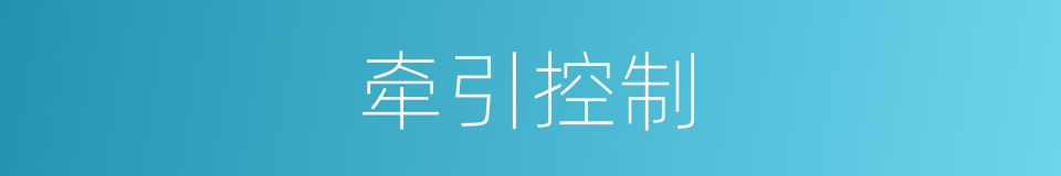 牵引控制的同义词