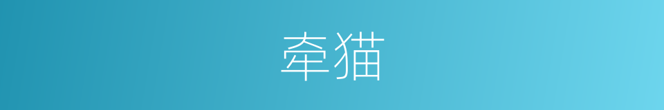 牵猫的同义词