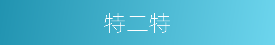 特二特的同义词
