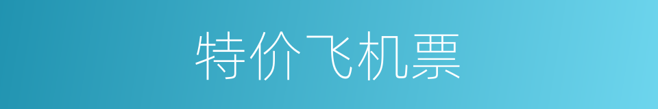 特价飞机票的同义词