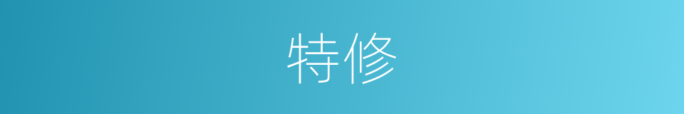 特修的同义词