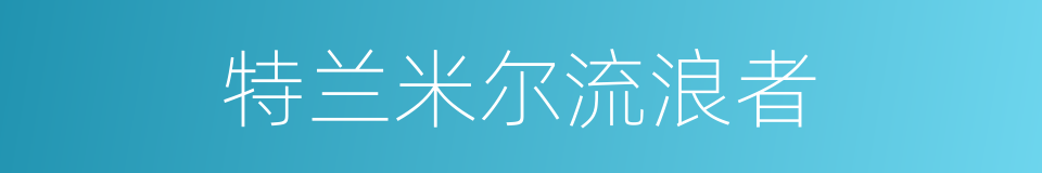 特兰米尔流浪者的同义词