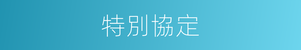特別協定的意思