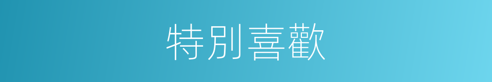 特別喜歡的意思