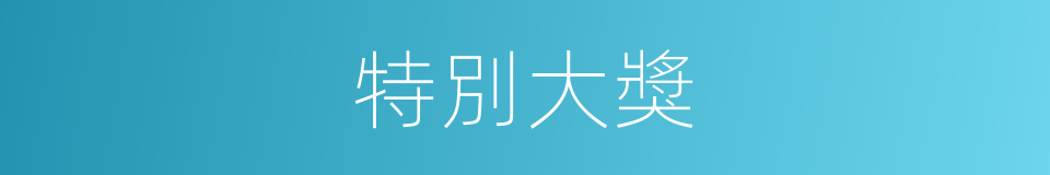 特別大獎的意思