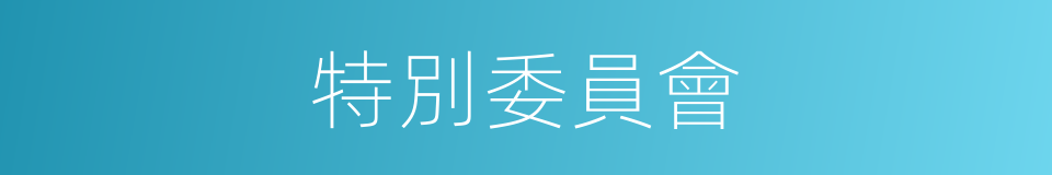 特別委員會的意思