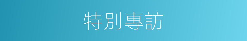 特別專訪的意思