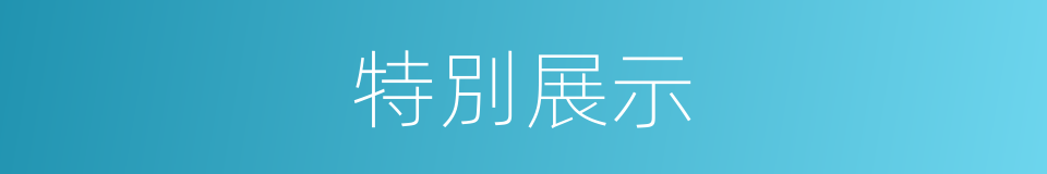 特別展示的意思