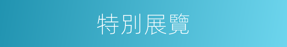 特別展覽的意思