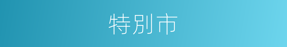 特別市的同義詞