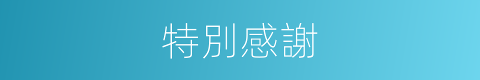 特別感謝的意思