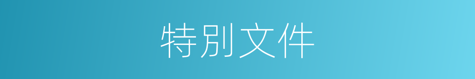 特別文件的意思