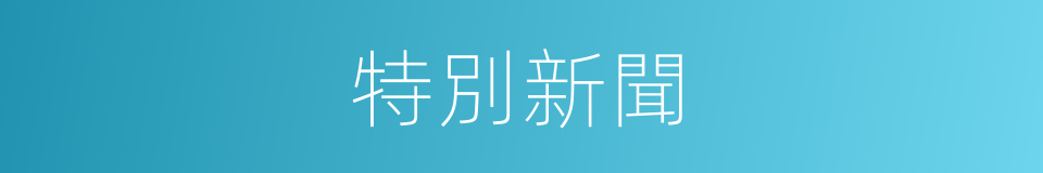 特別新聞的意思