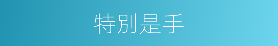 特別是手的意思