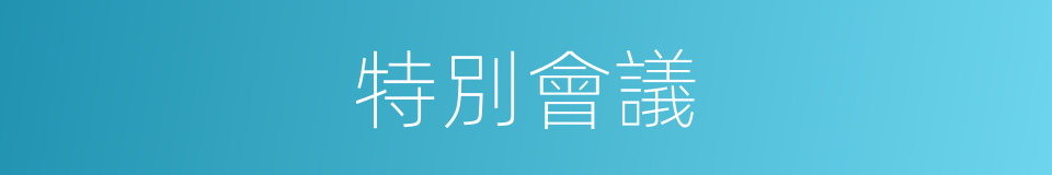 特別會議的意思