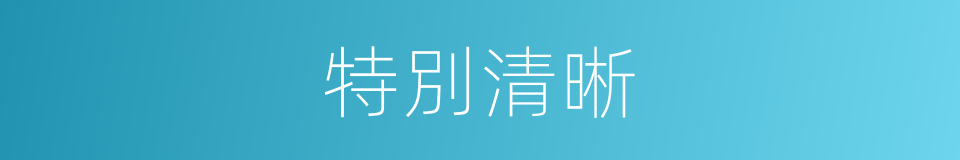 特別清晰的意思